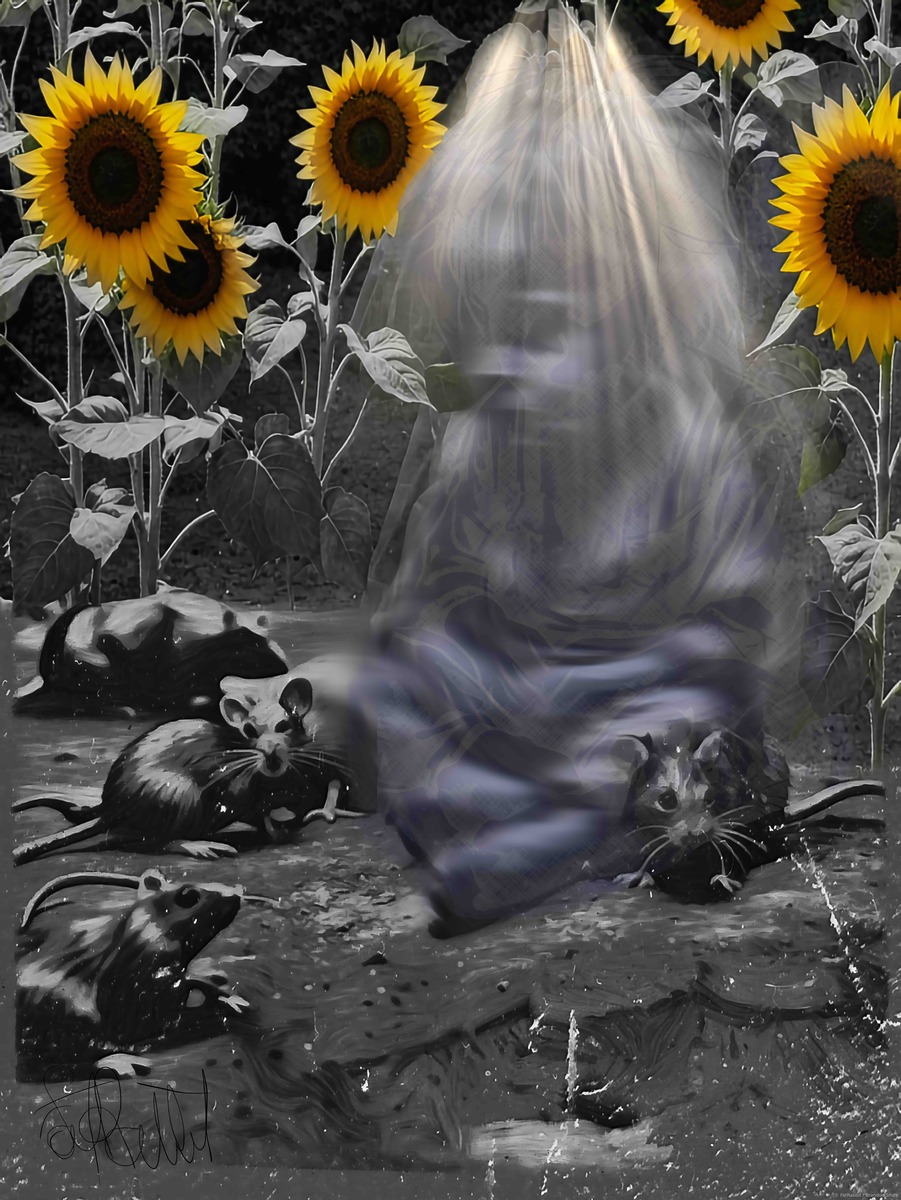 What Have I Done